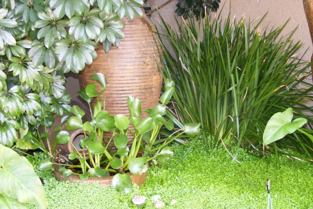 Linkside 2 Self-Catering Mossel Bay Exterior foto